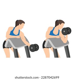 Woman doing one arm dumbbell preacher curl. Flat vector illustration isolated on different layer. Workout character