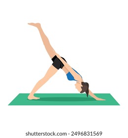 Woman doing One Handed Three Legged Downward Facing Dog Pose or Eka Hasta Tri Pada Adho Mukha Svanasana. Flat vector illustration isolated on white background