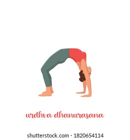 Woman doing online home workout. Body positive. Attractive woman. Urdhva Dhanurasana, Upward Bow or Wheel Pose. Flat vector illustration isolated on white background