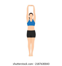 Woman doing Palm Tree Pose, Upward Hand Stretch Pose, Upward Salute, Raised Hands Pose, Tadasana Urdhva Baddhanguliyasana, Urdhva Hastasana. Flat vector illustration isolated on white background