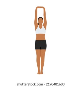 Woman Doing Palm Tree Pose, Upward Hand Stretch Pose, Upward Salute, Raised Hands Pose, Tadasana Urdhva Baddhanguliyasana, Urdhva Hastasana. Flat Vector Illustration Isolated On White Background