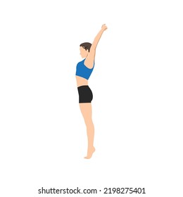 Woman Doing Palm Tree Pose On Tiptoes. Practice Urdhva Hastasana On Tiptoes. Flat Vector Illustration Isolated On White Background