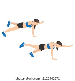 Woman Doing Plank Bird Dog Exercise. Flat Vector Illustration Isolated On White Background