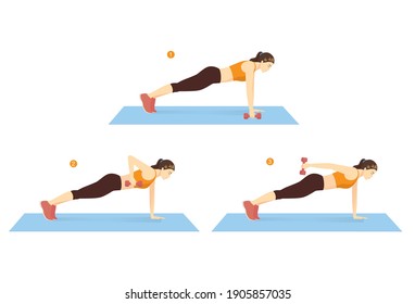 Woman doing Plank Row and Kickback Exercise with dumbbell on mat in 3 steps for Abdominal and arm. Cartoon Illustration about workout diagram.