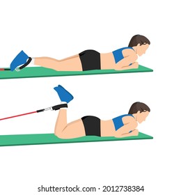 Woman doing Prone leg curl exercise. flat vector illustration isolated on white background