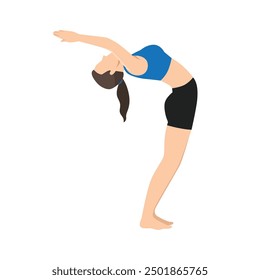 Woman doing Raised Arms Pose, Raised Hands Pose or Hasta Uttanasana. Flat vector illustration isolated on white background