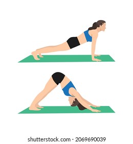 Woman doing Renegade row with downward dog tap. Plank to downward dog exercise. Flat vector illustration isolated on white background