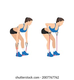 Woman doing Resistance band bent over rows exercise. Flat vector illustration isolated on white background