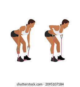 Woman doing Resistance band bent over rows exercise. Flat vector illustration isolated on white background