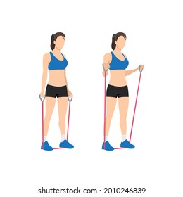 Woman doing Resistance band bicep curls exercise. Flat vector illustration isolated on white background