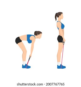 Woman doing Resistance band deadlifts exercise. Flat vector illustration isolated on white background