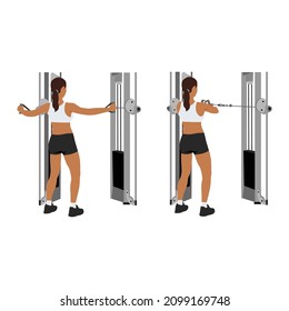 Woman doing reverse cable flyes exercise. Flat vector illustration isolated on white background