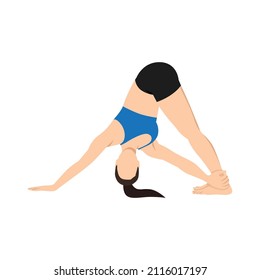 Una mujer haciendo ejercicio de perro orientado hacia abajo, posan parivtta ado mukha svanasana. Ilustración vectorial plana aislada en fondo blanco