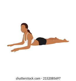 Woman doing salamba bhujangasana sphinx pose exercise. Flat vector illustration isolated on white background