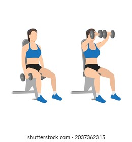 Woman doing Seated Dual front raises exercise. Flat vector illustration isolated on white background