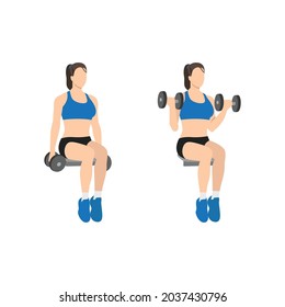 Woman doing Seated Dumbbell bicep curls exercise. Flat vector illustration isolated on white background