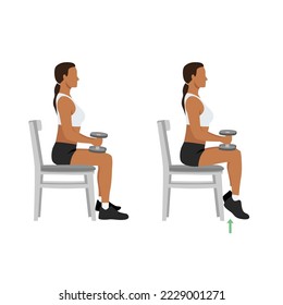 Woman doing seated dumbbell or chair calf raises. Keep both legs at a 90-degree angle. Extend the heels of pushing the toes on the ground and lifting the heels of pushing. Flat vector illustration