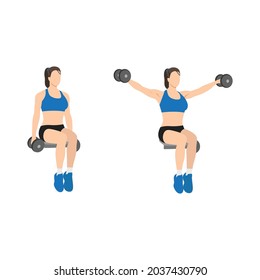 Woman doing Seated lateral. Side shoulder dumbbell raises exercise. Flat vector illustration isolated on white background