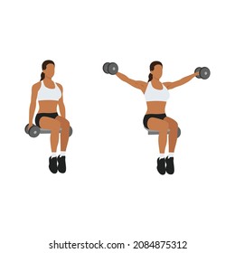 Woman doing Seated lateral. Side shoulder dumbbell raises exercise. Flat vector illustration isolated on white background