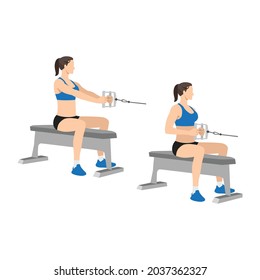 Woman doing Seated Low cable back rows exercise. Flat vector illustration isolated on white background