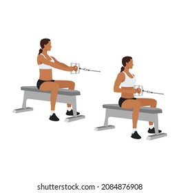 Woman doing Seated Low cable back rows exercise. Flat vector illustration isolated on white background