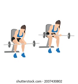 Woman doing Seated Palm down wrist curls exercise. Flat vector illustration isolated on white background