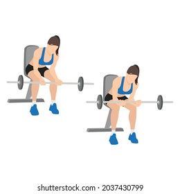 Woman doing Seated Palm up wrist curls  exercise. Flat vector illustration isolated on white background