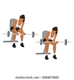 Woman doing Seated Palm up wrist curls  exercise. Flat vector illustration isolated on white background