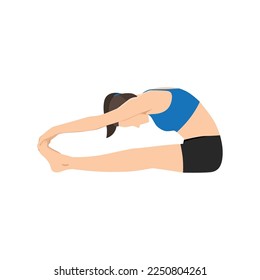 Woman doing seated Toe Touch Stretch Exercise. Flat vector illustration isolated on white background.