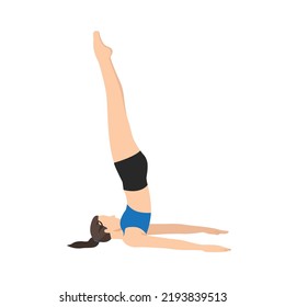 Woman doing Shoulderstand Seal Pose. Beautiful girl practice Salamba Sarvangasana Yoga Mudrasana. Flat vector illustration isolated on white background