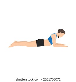 Woman doing Sphinx - Salamba Bhujangasana yoga pose. Flat vector illustration isolated on white background