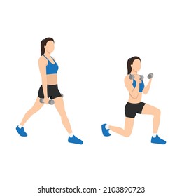 Woman doing Split squat curl exercise. Flat vector illustration isolated on white background