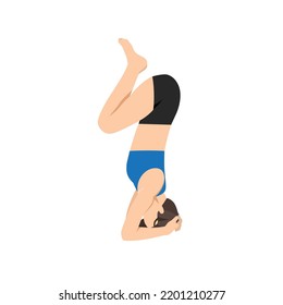 Woman doing Squeezing Pose. Practice Akunchanasana. Flat vector illustration isoalated on white background