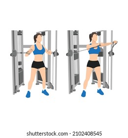 Woman doing standing cable chest press exercise, Flat vector illustration isolated on white background. Chest workout
