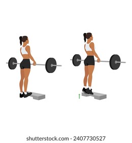 Woman doing standing calf raises with barbell exercise. Flat vector illustration isolated on white background