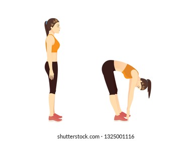 Woman Doing Standing Toe Touch Stretches Stock Vector Royalty Free 1325001116