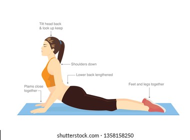 Woman doing  stretching exercises with Cobra pose for guide. Illustration about correct workout diagram.