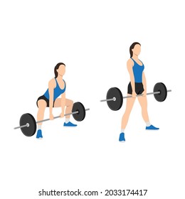 Woman doing Sumo Barbell deadlifts exercise. Flat vector illustration isolated on white background