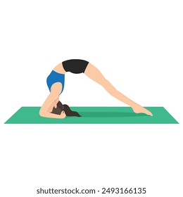 Woman doing Two legged Inverted Staff Pose or Dvi Pada Viparita Dandasana yoga exercise. Flat vector illustration isolated on white background