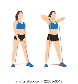 Woman doing Upright Row Home Workout Exercise with Thin Resistance Band. Flat vector illustration isolated on white background