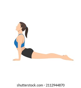 Woman doing upward facing dog pose urdhva muka exercise. Flat vector illustration isolated on white background