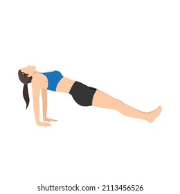 Woman doing upward plank pose purvottanasana exercise. Flat vector illustration isolated on white background