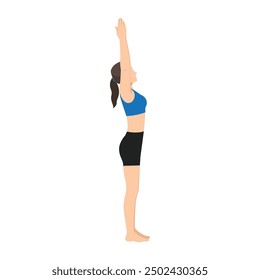 Woman doing Volcano Pose, Upward Hand Pose, Upward Salute Pose or Tadasana Urdhva Hastasana. Flat vector illustration isolated on white background