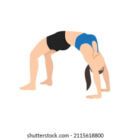 Woman doing wheel pose urdhva dhanurasana exercise. Flat vector illustration isolated on white background