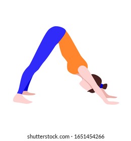 Woman doing yoga, standing in downward dog pose, isolated on white, flat illustration