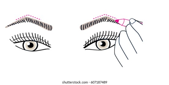 Woman drawing her braws. Close up illustration of the beautiful female eyes. Vector illustration.