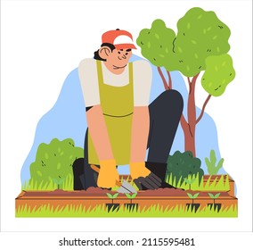 Woman enjoy arranging garden and planting. Spring season vegetables, herbs, flower or greenary planting. Character put plant seedlings into the ground. Farmer gardening or agriculture hobby.