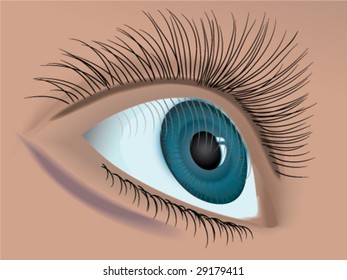 woman eye closeup vector