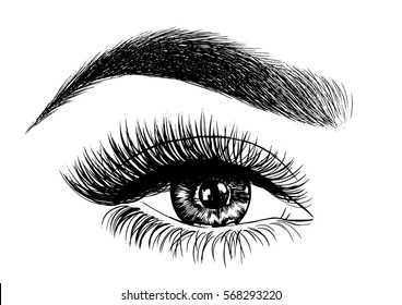 Woman Eye and Perfect Eyebrows Makeup Look