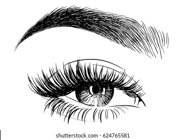 Woman eye with perfectly shaped eyebrows and full lashes